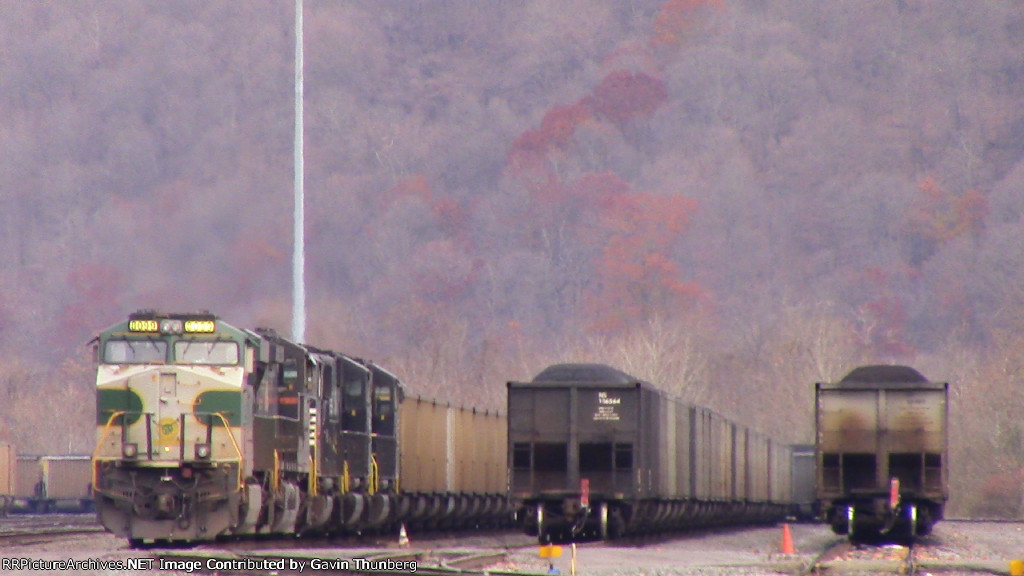 NS 8099